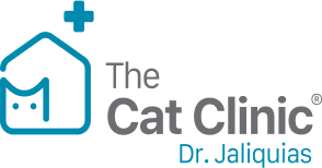 The Cat Clinic